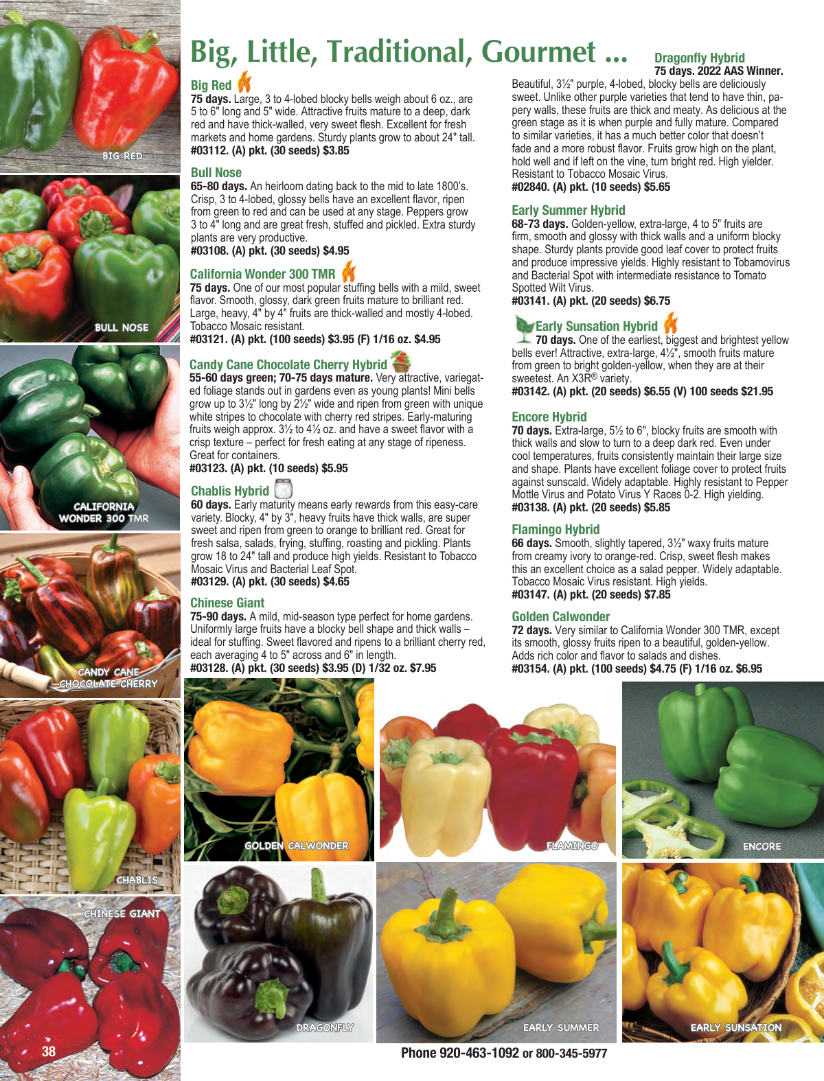 Flyer page 38