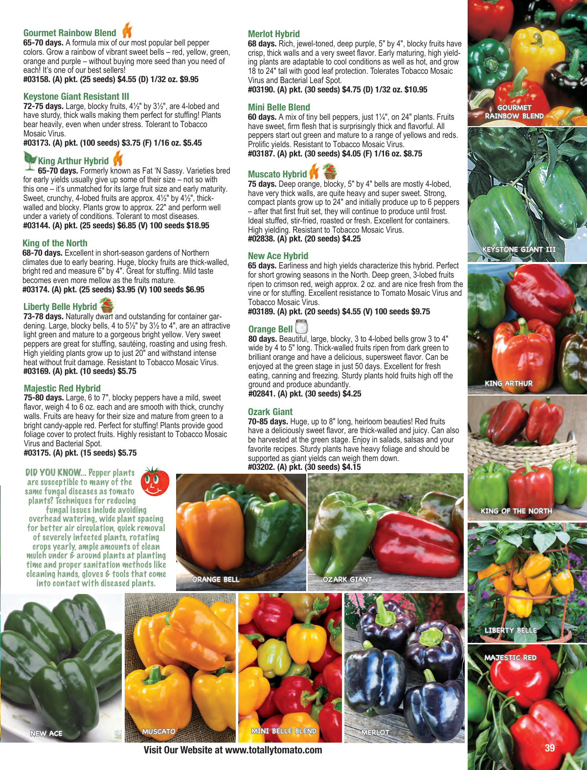 Flyer page 39
