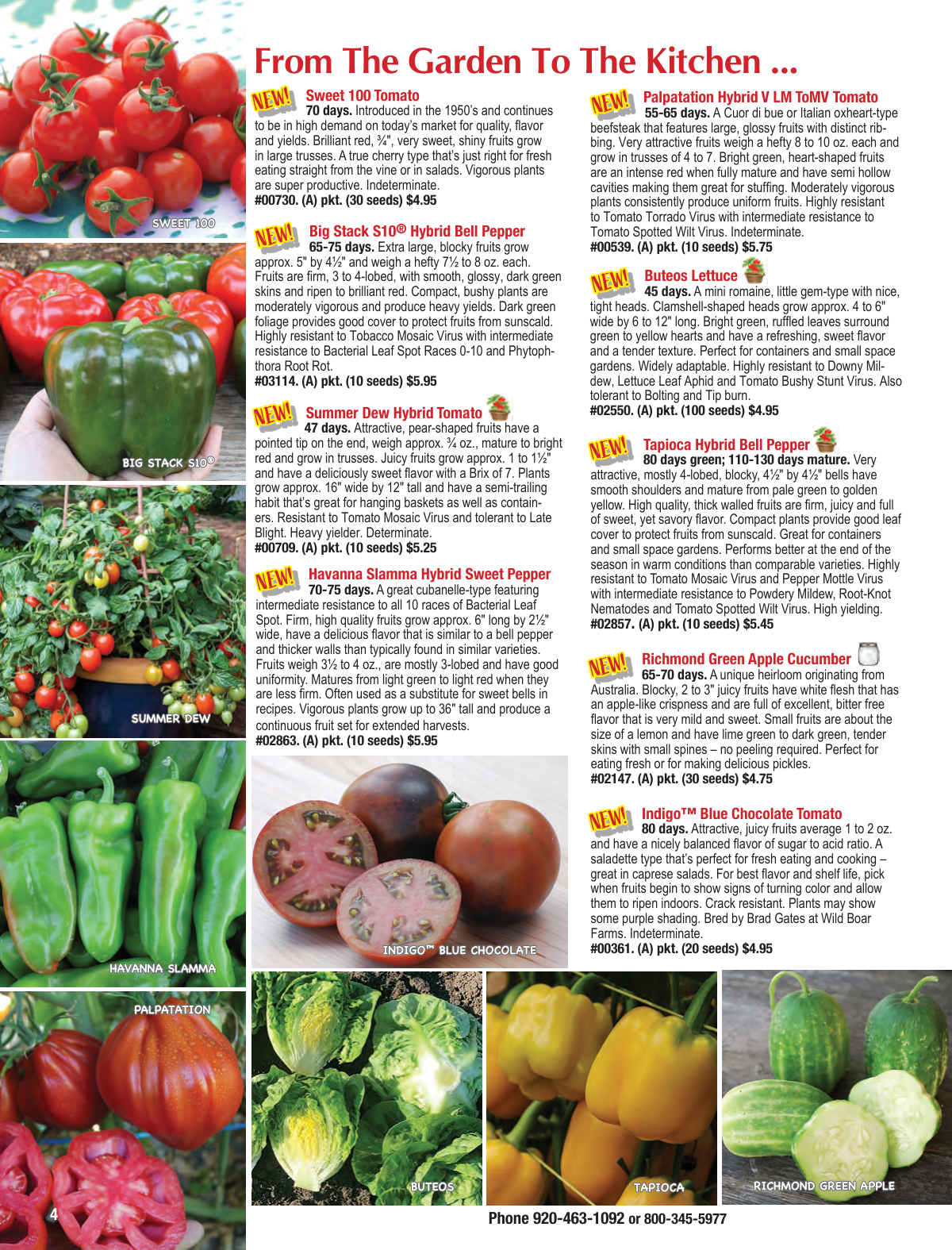 Flyer page 4