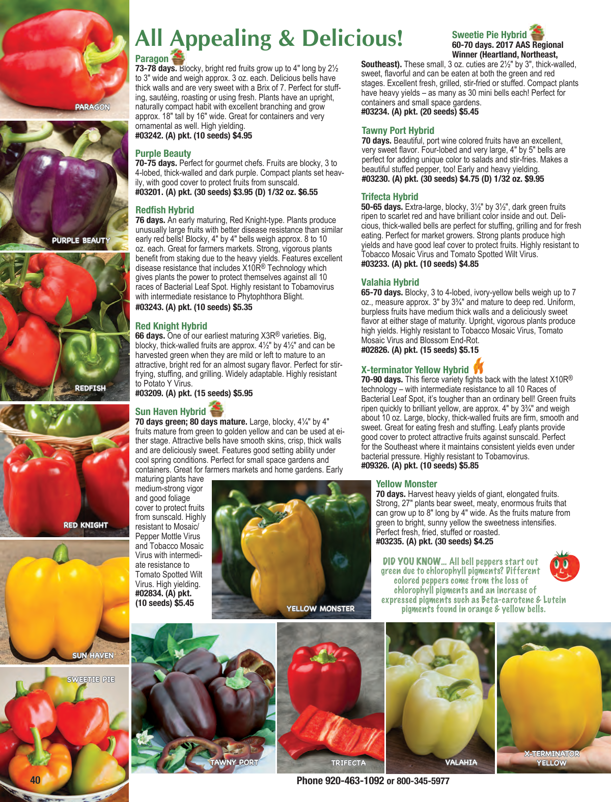 Flyer page 40