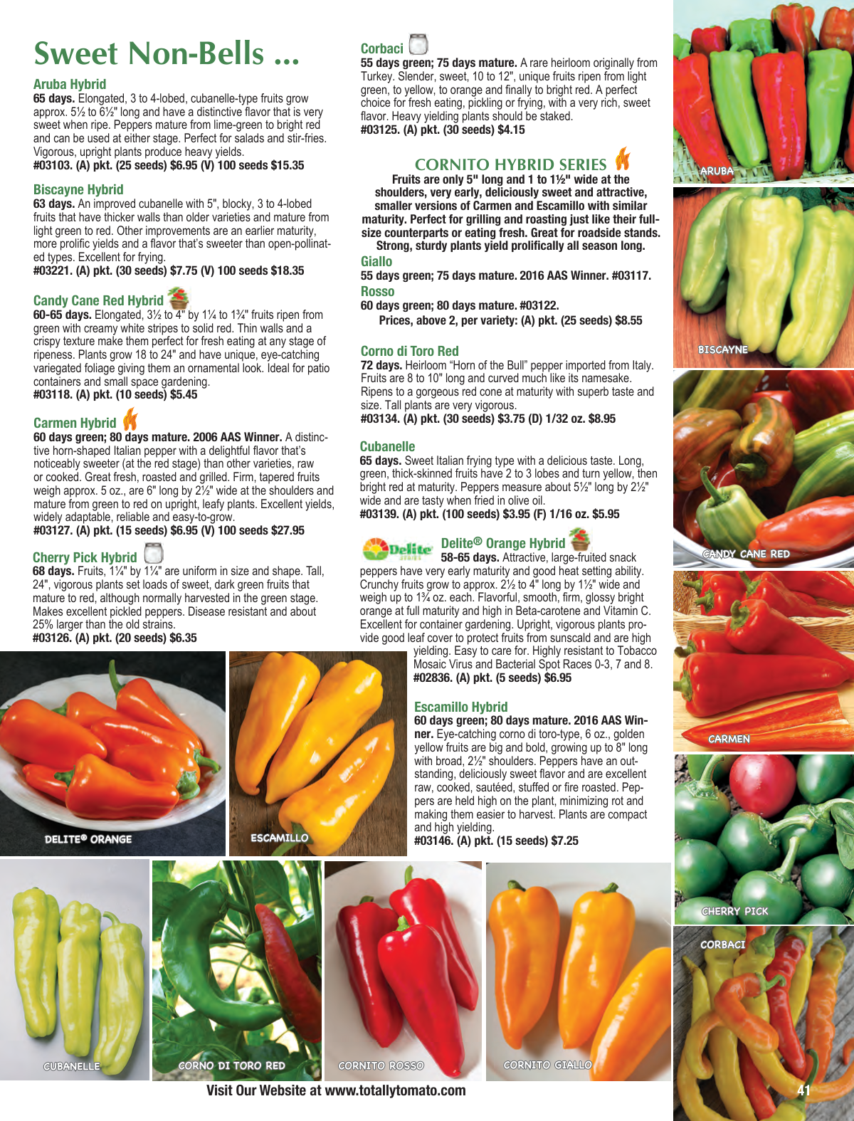 Flyer page 41