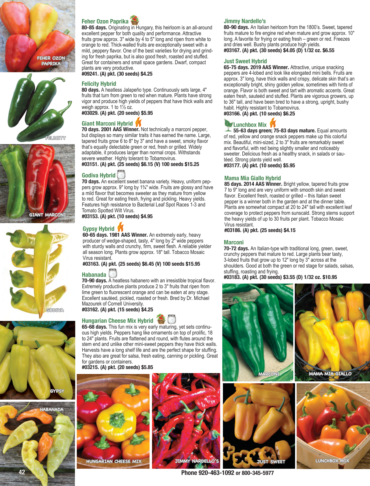 Flyer page 42
