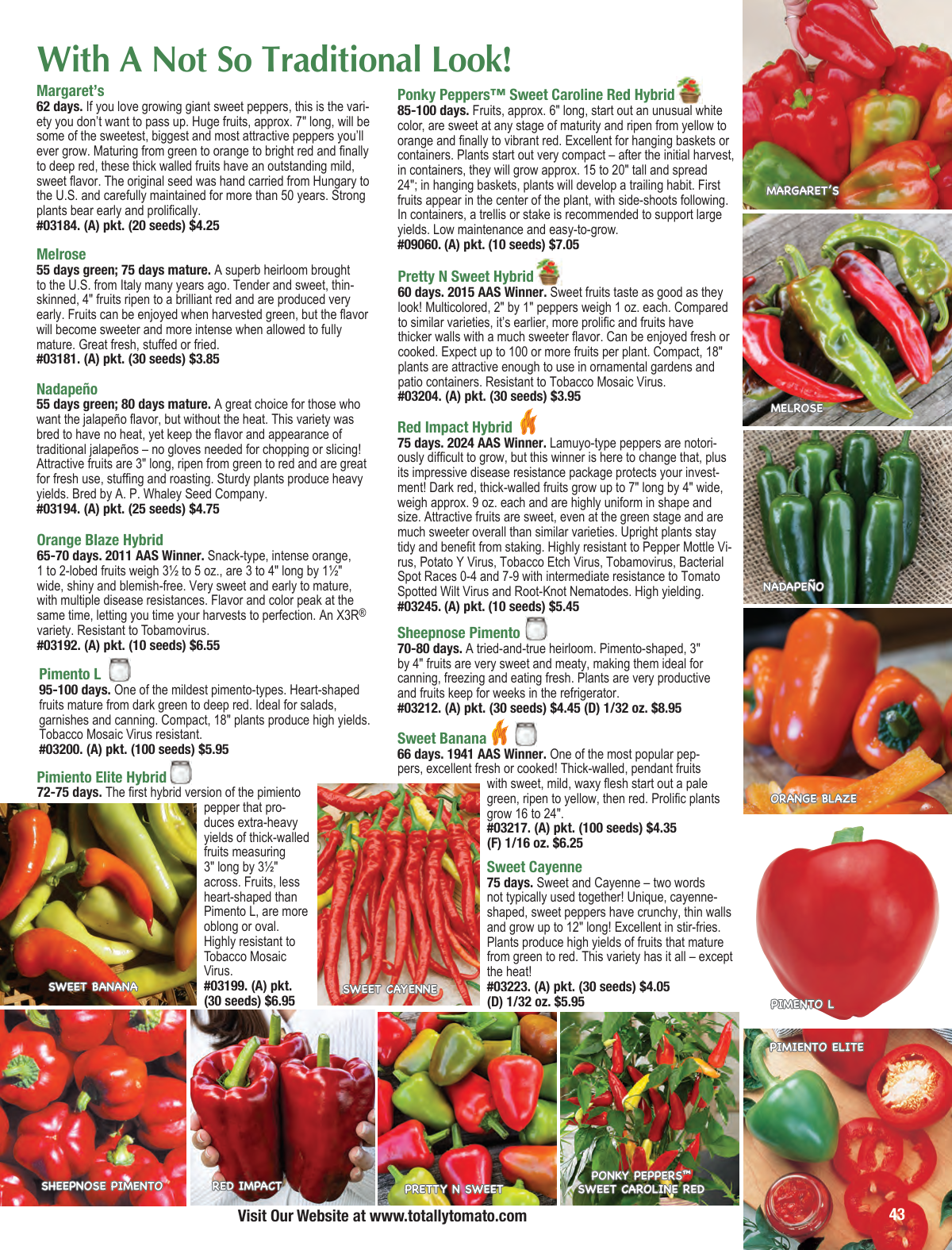 Flyer page 43