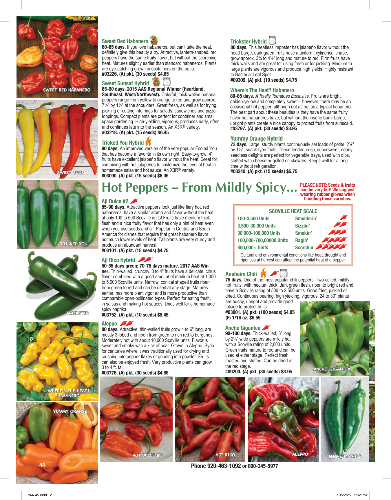 Flyer page 44