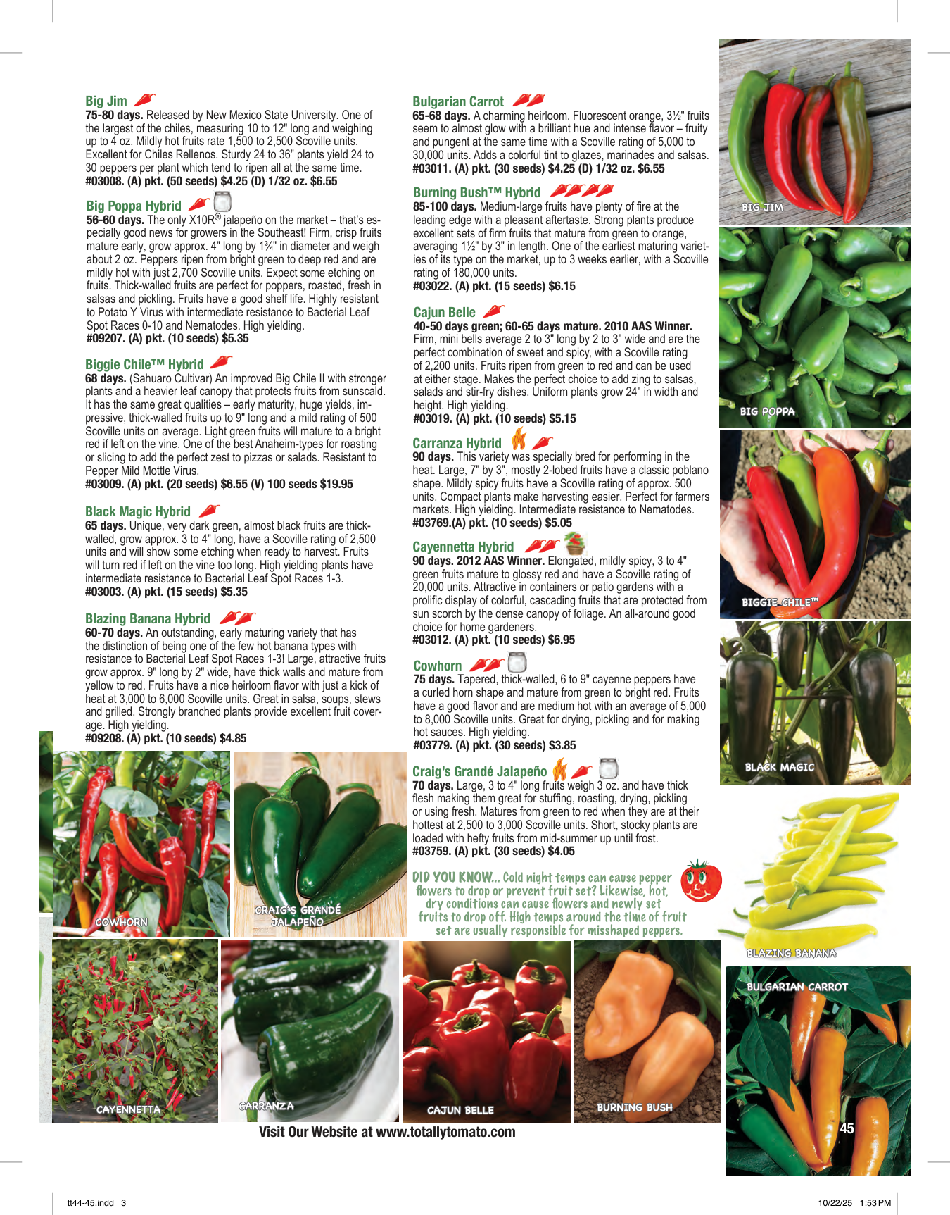 Flyer page 45