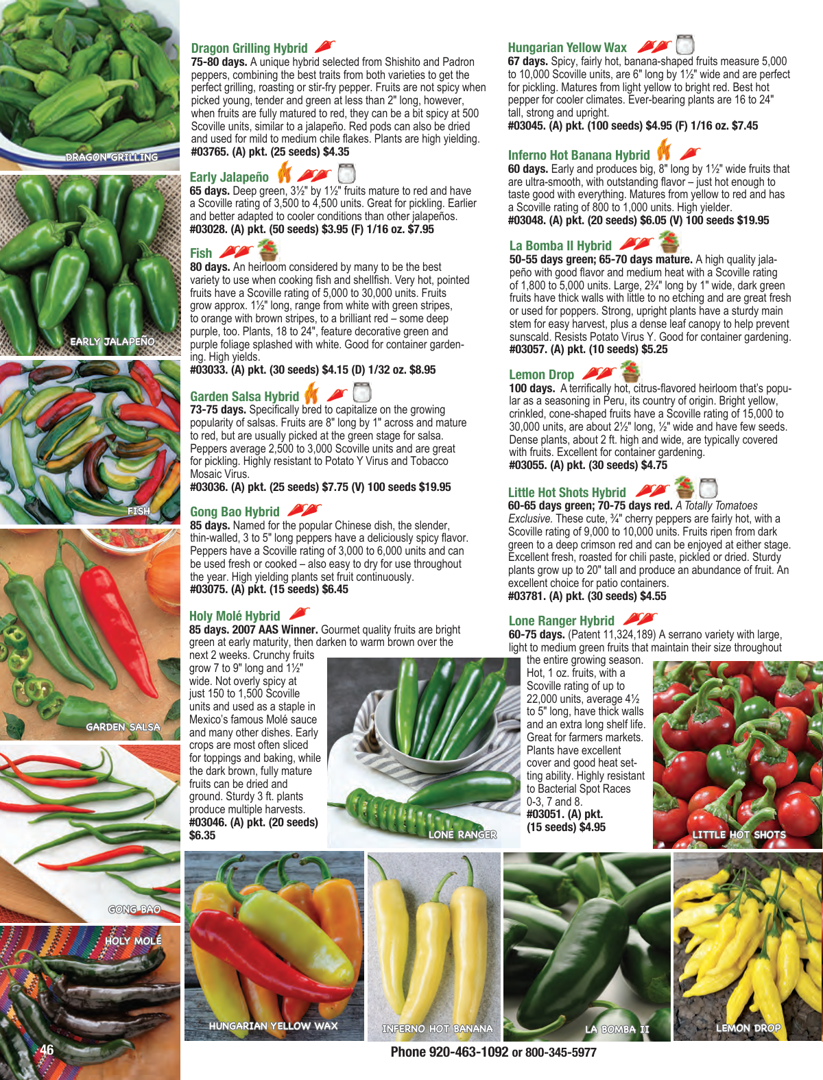 Flyer page 46