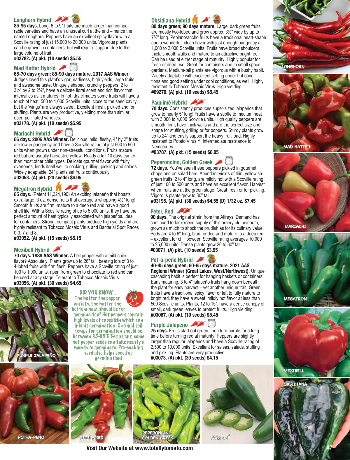 Flyer page 47