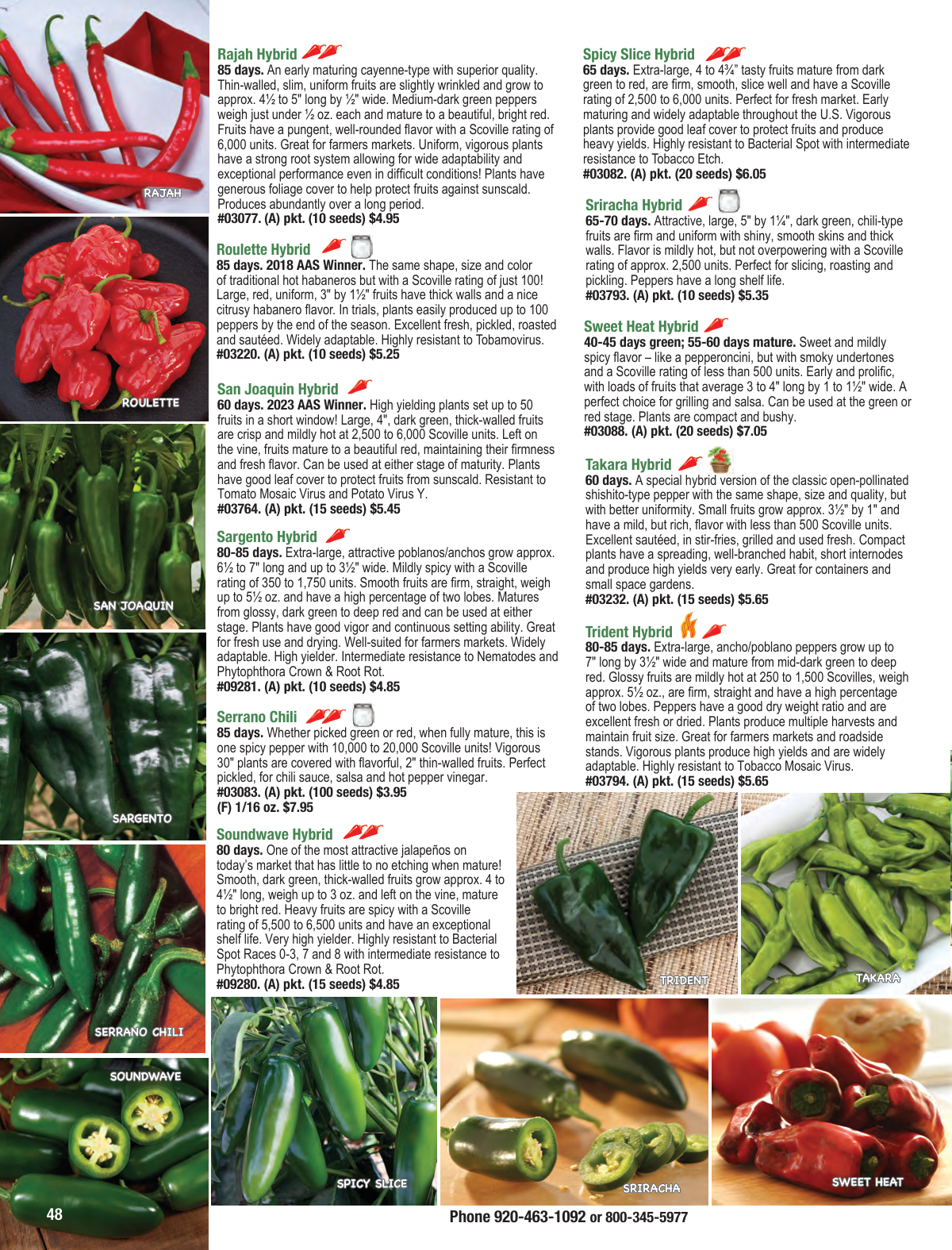 Flyer page 48