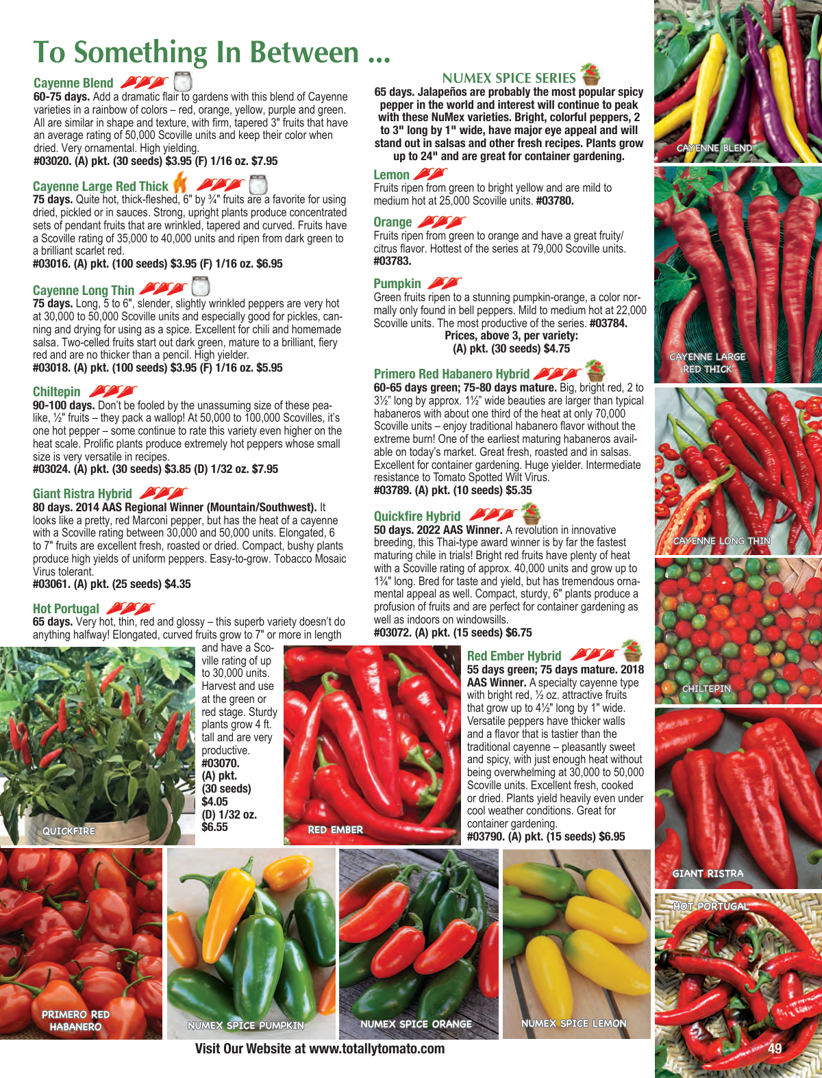 Flyer page 49