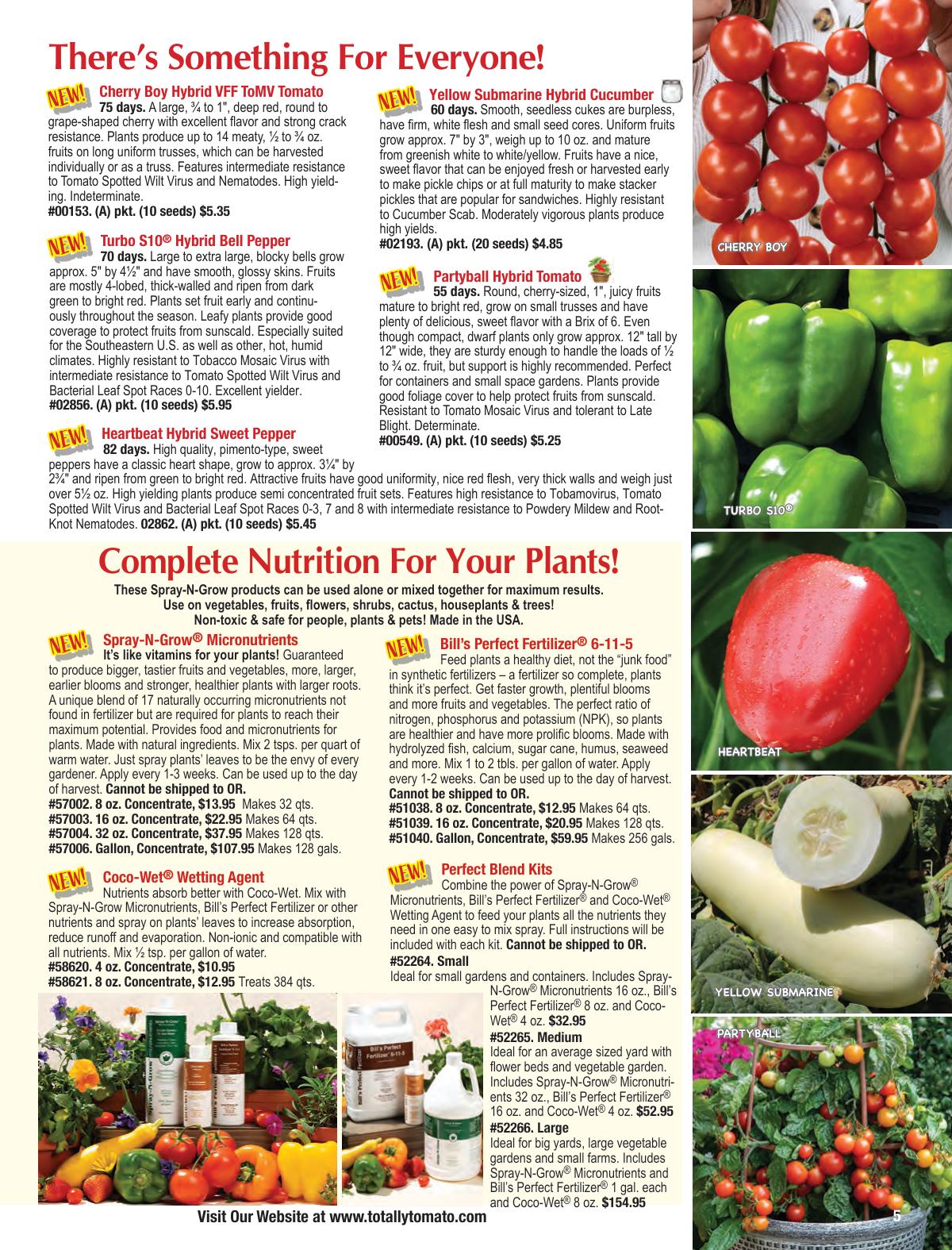 Flyer page 5