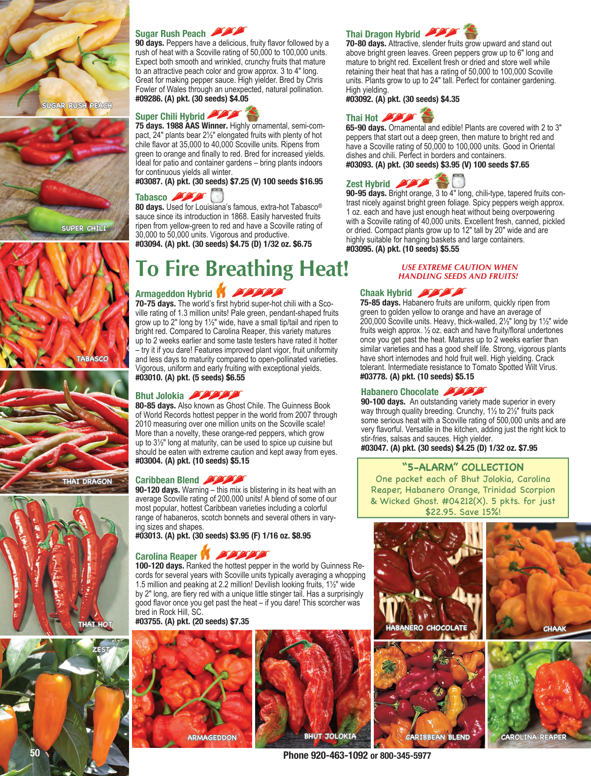 Flyer page 50