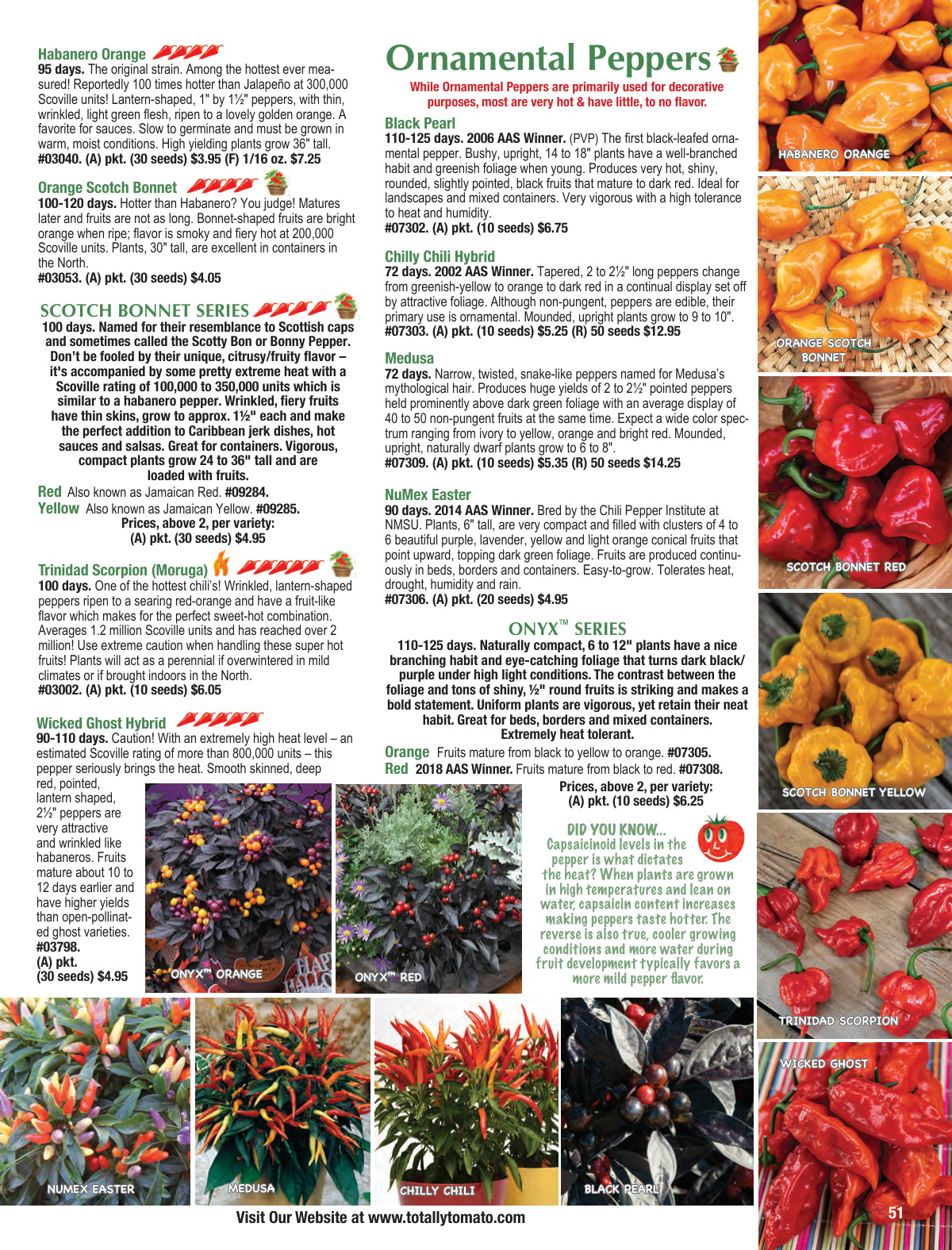Flyer page 51