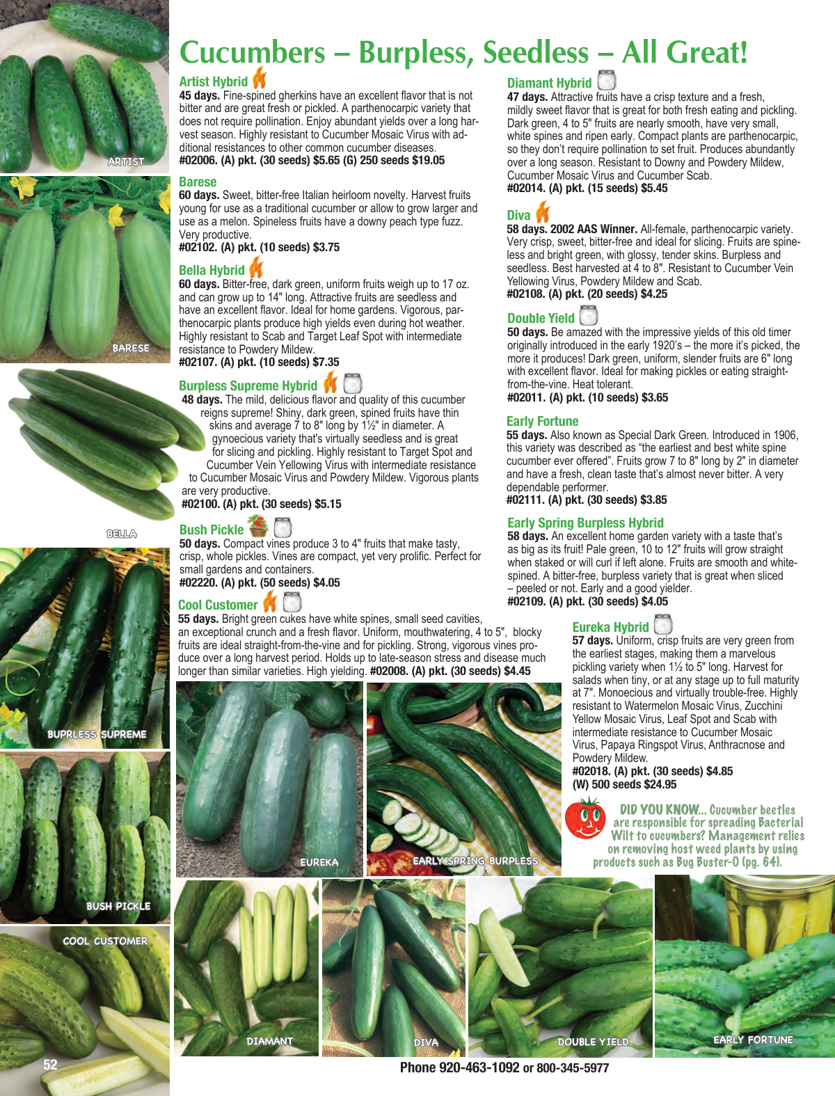 Flyer page 52