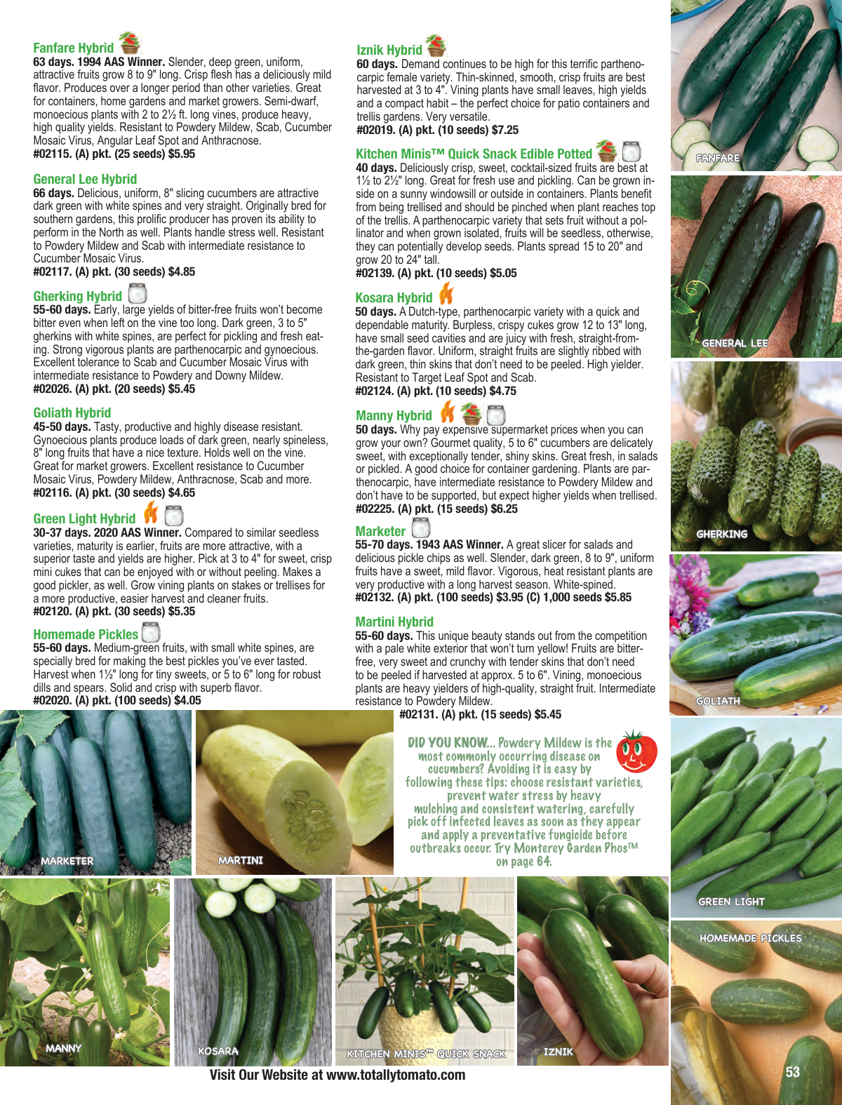 Flyer page 53
