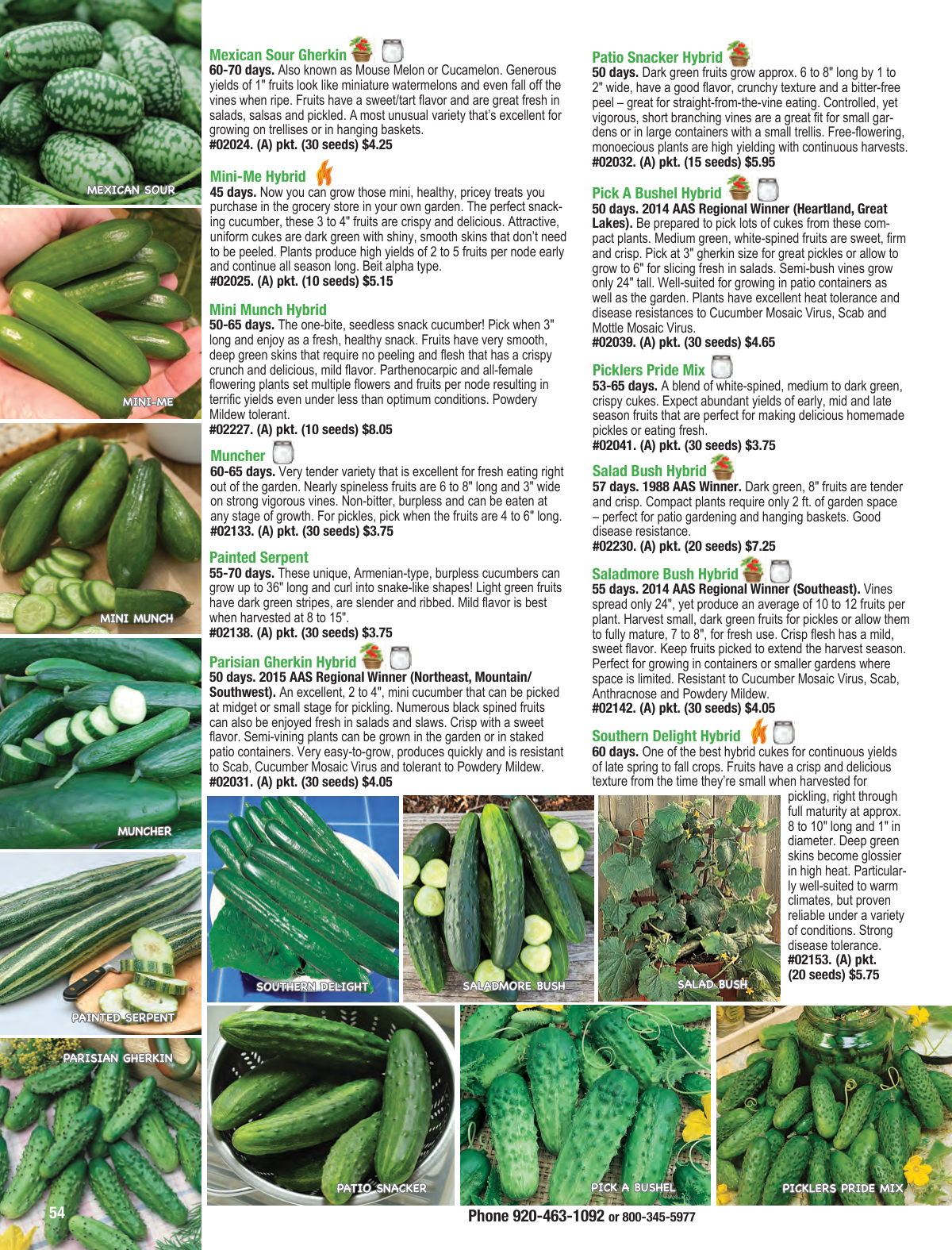Flyer page 54