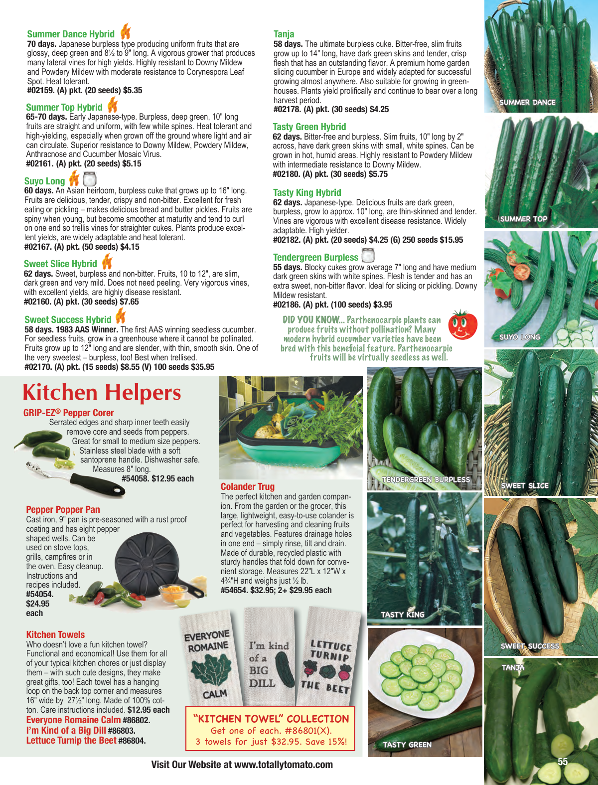 Flyer page 55