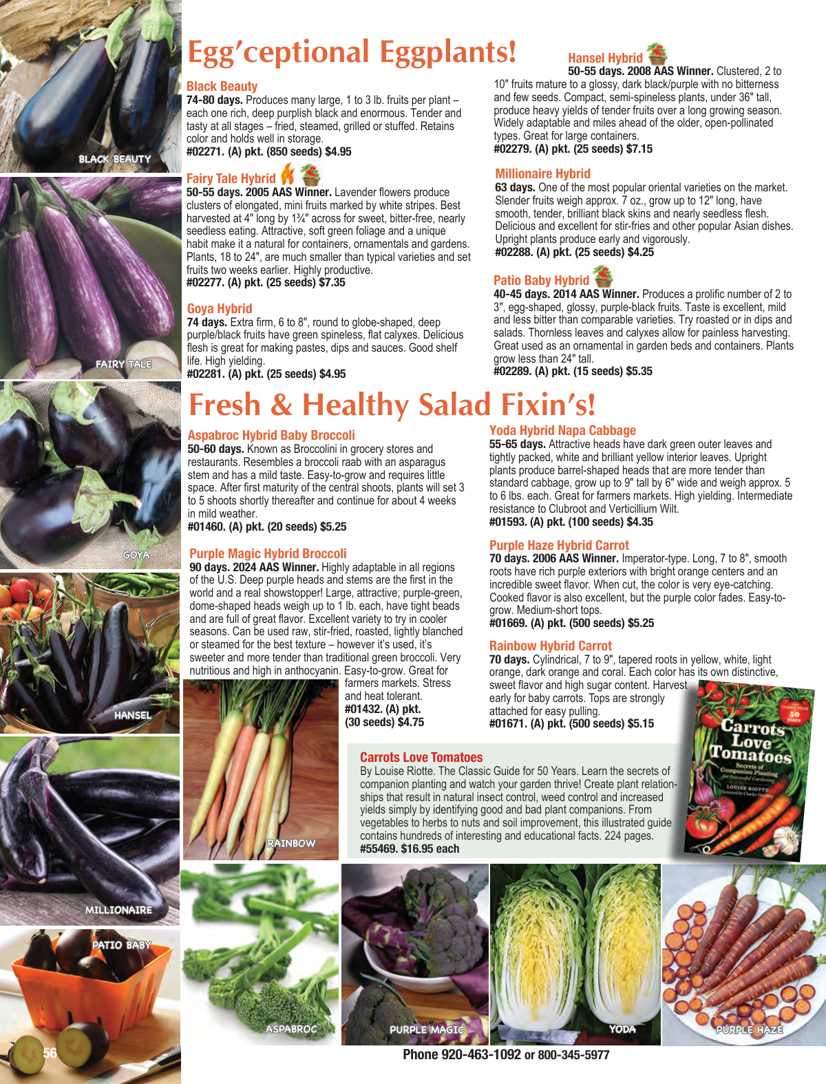 Flyer page 56