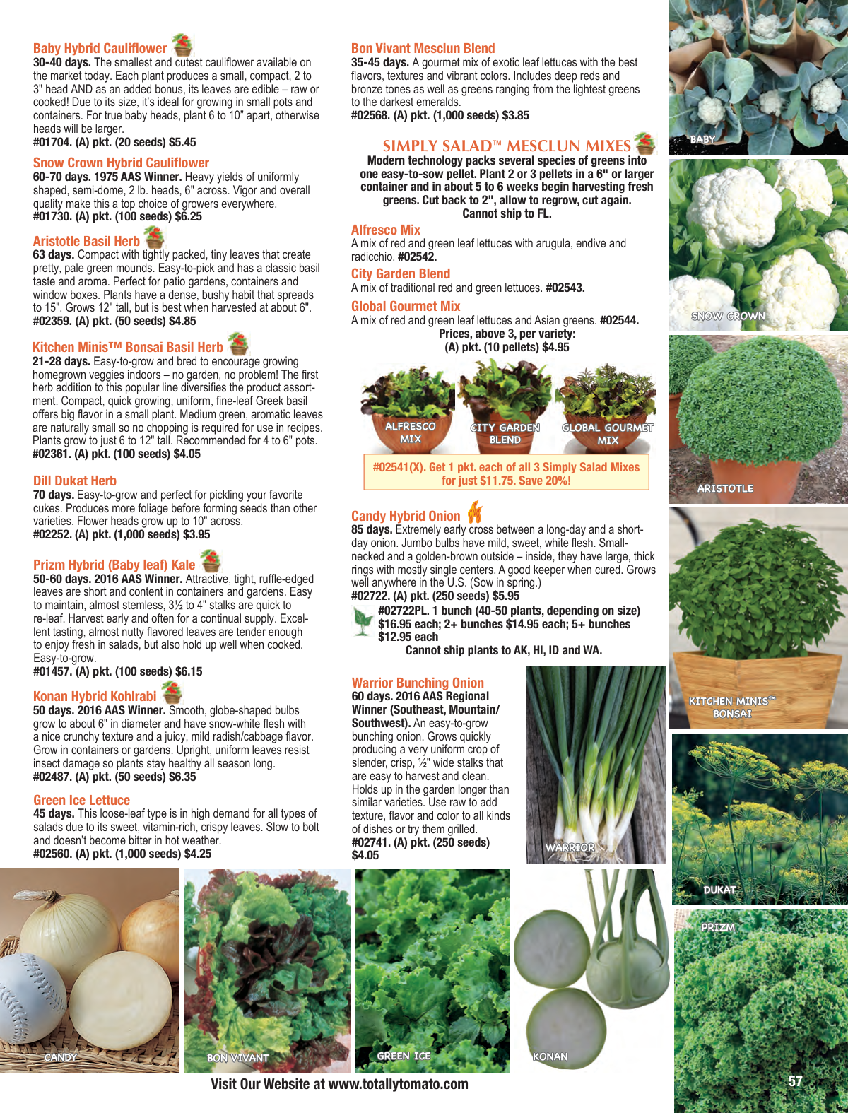 Flyer page 57
