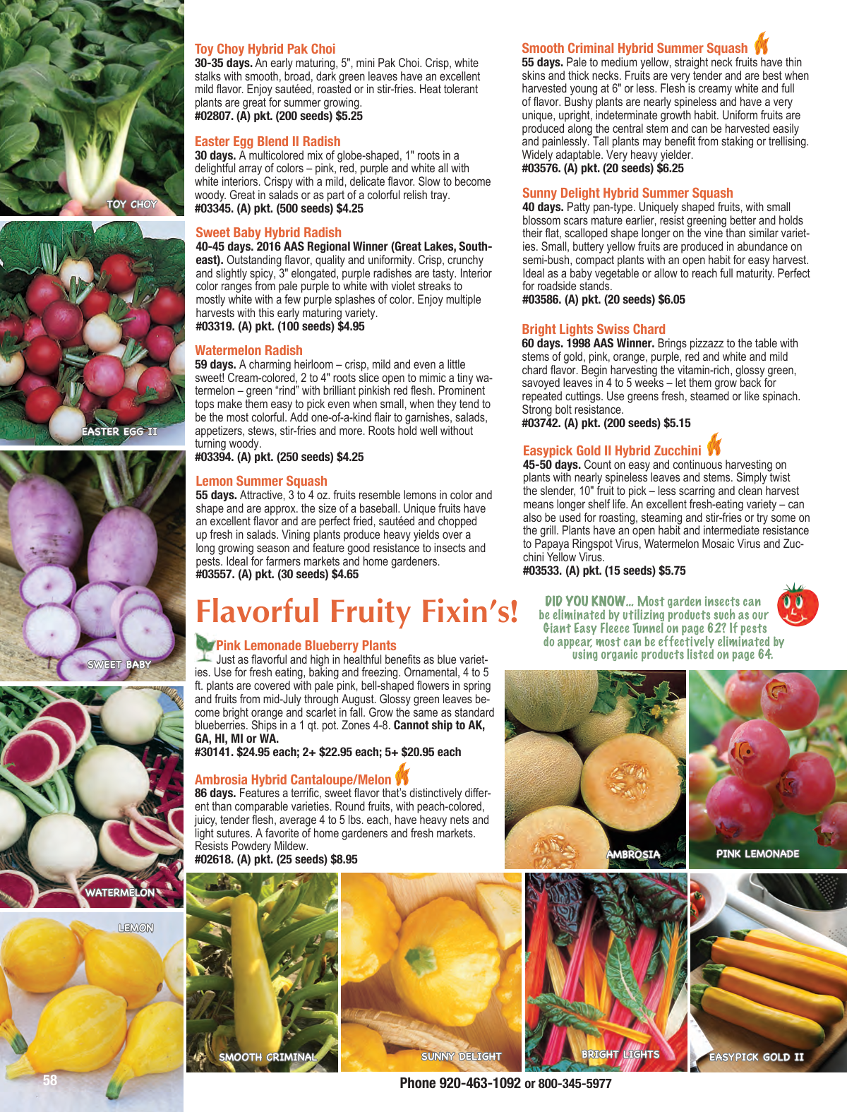 Flyer page 58