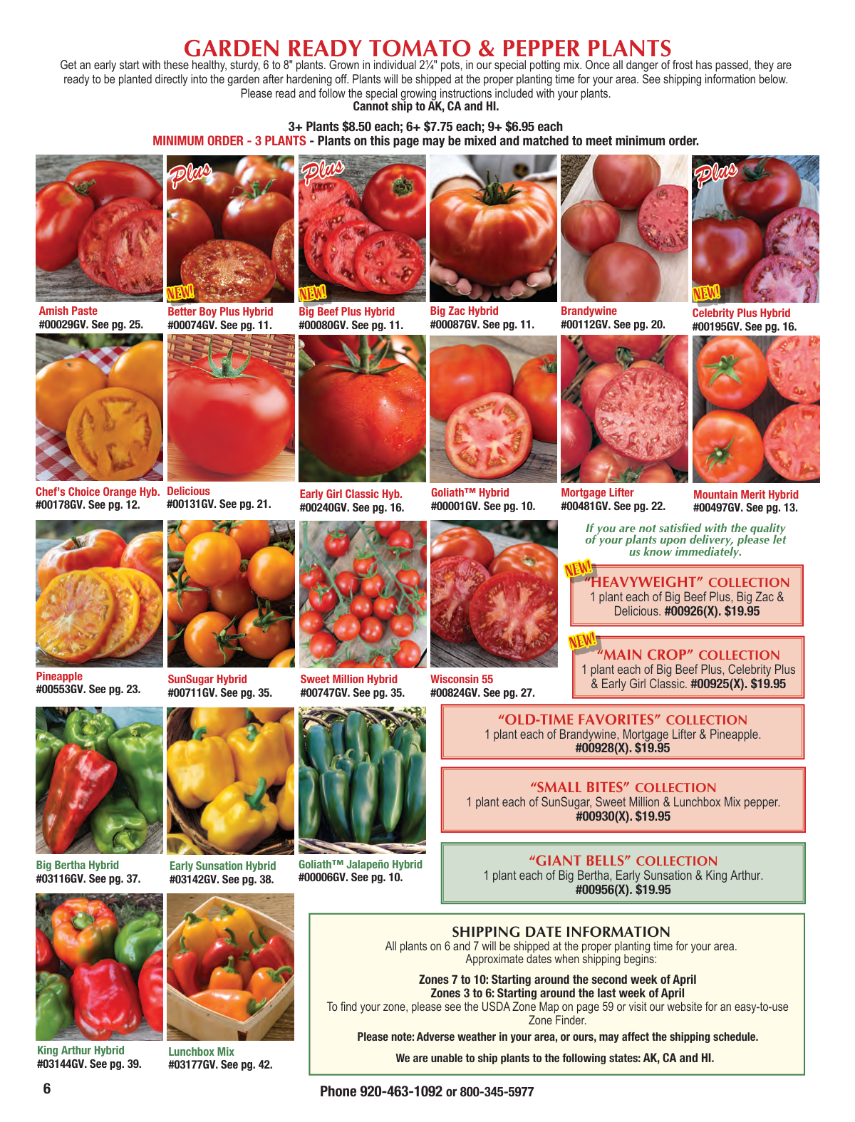 Flyer page 6