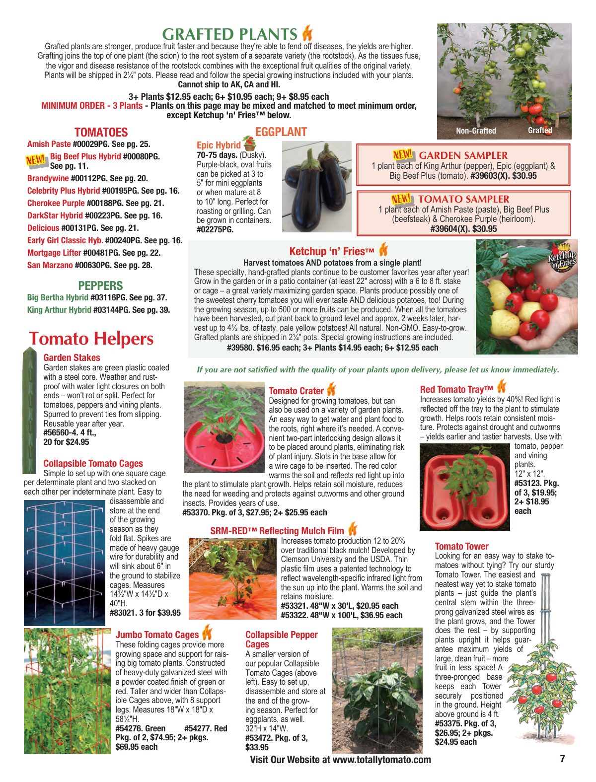Flyer page 7