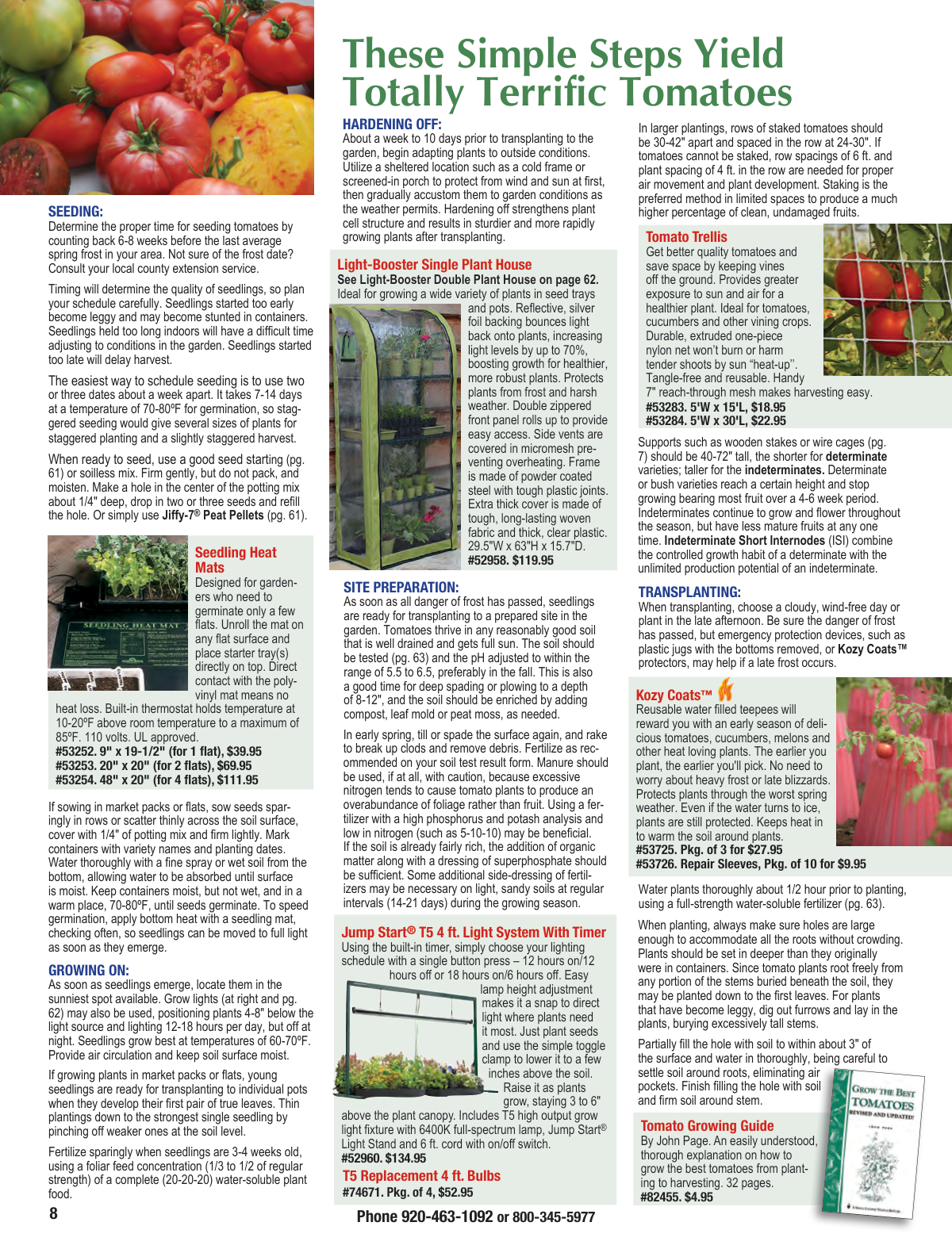 Flyer page 8