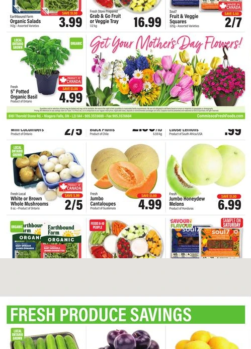 Flyer page 12