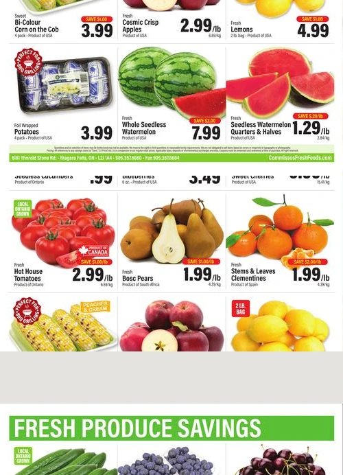 Flyer page 10