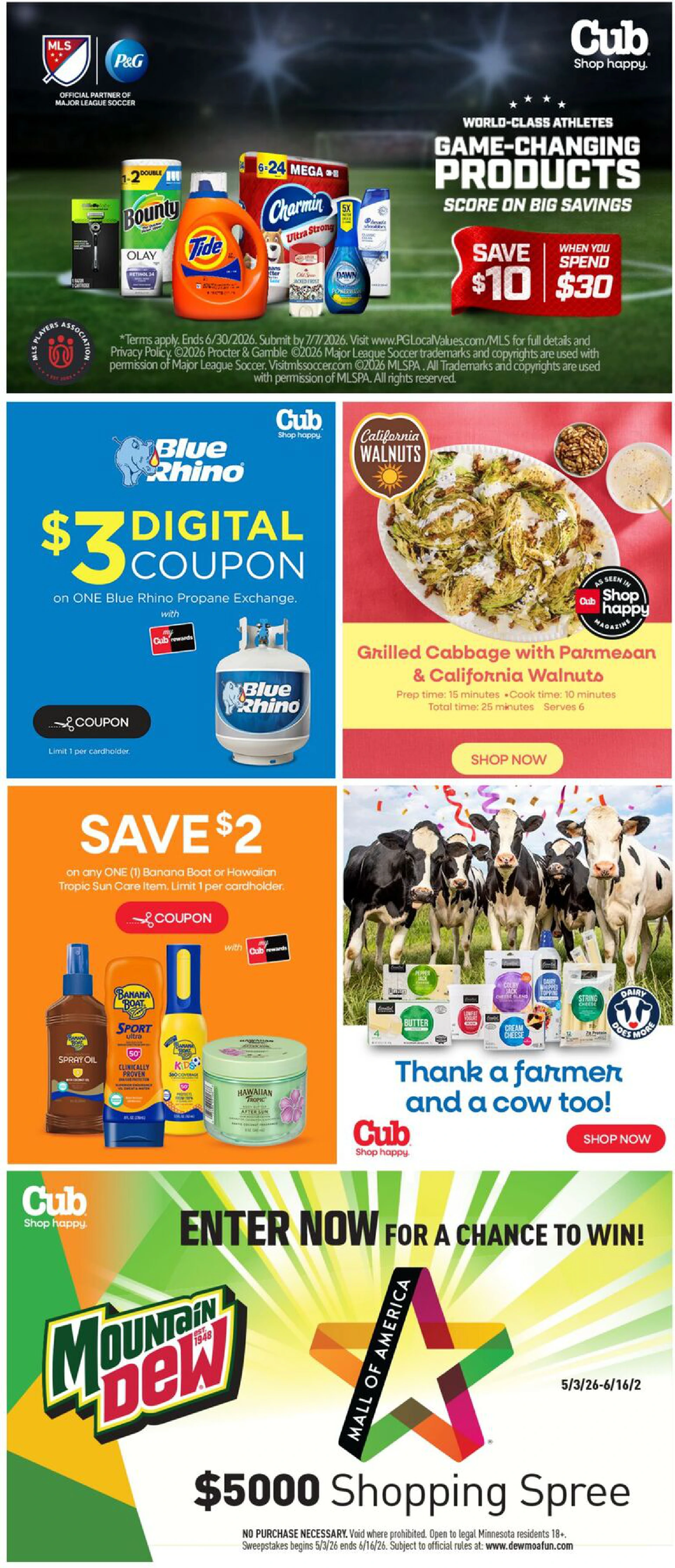 Flyer page 10