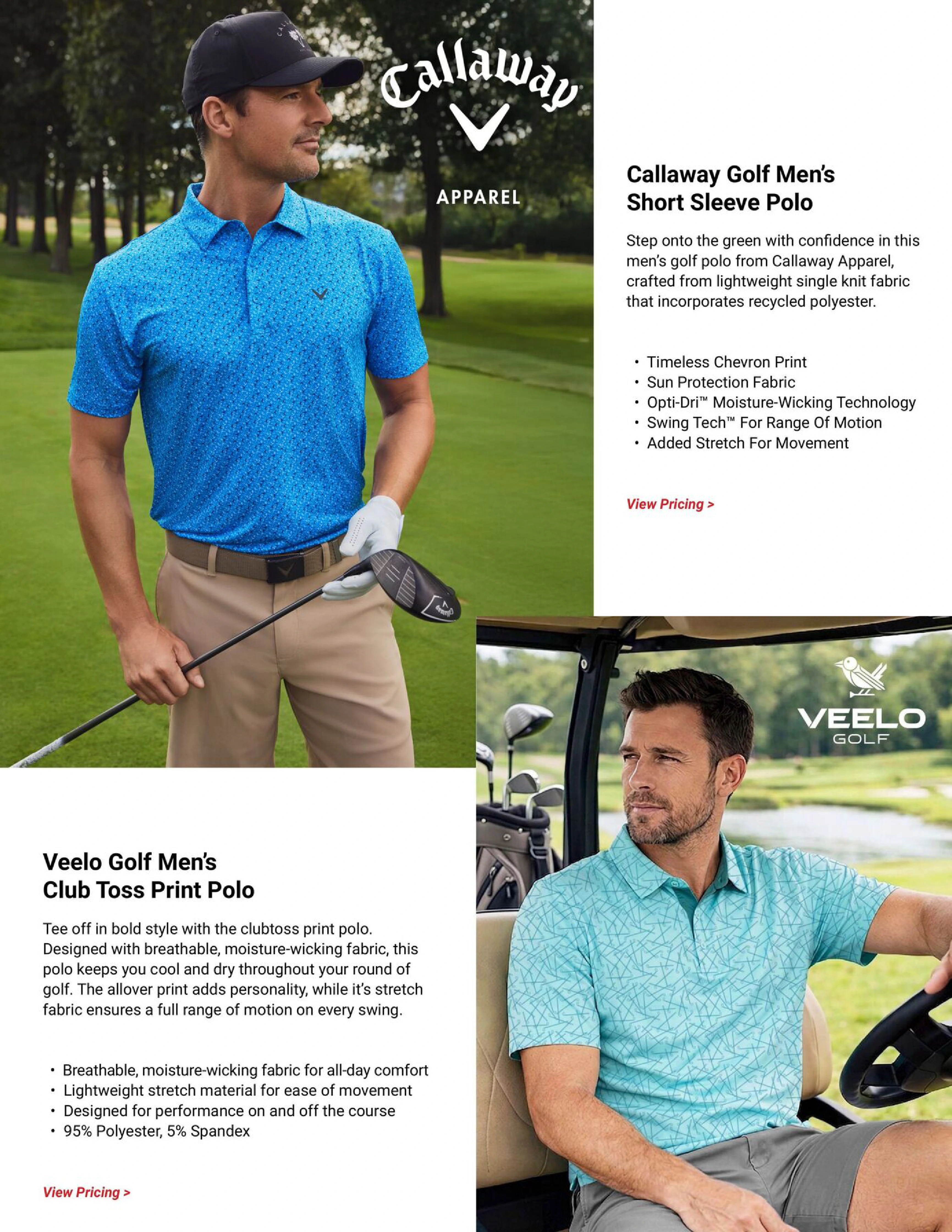 Flyer page 4