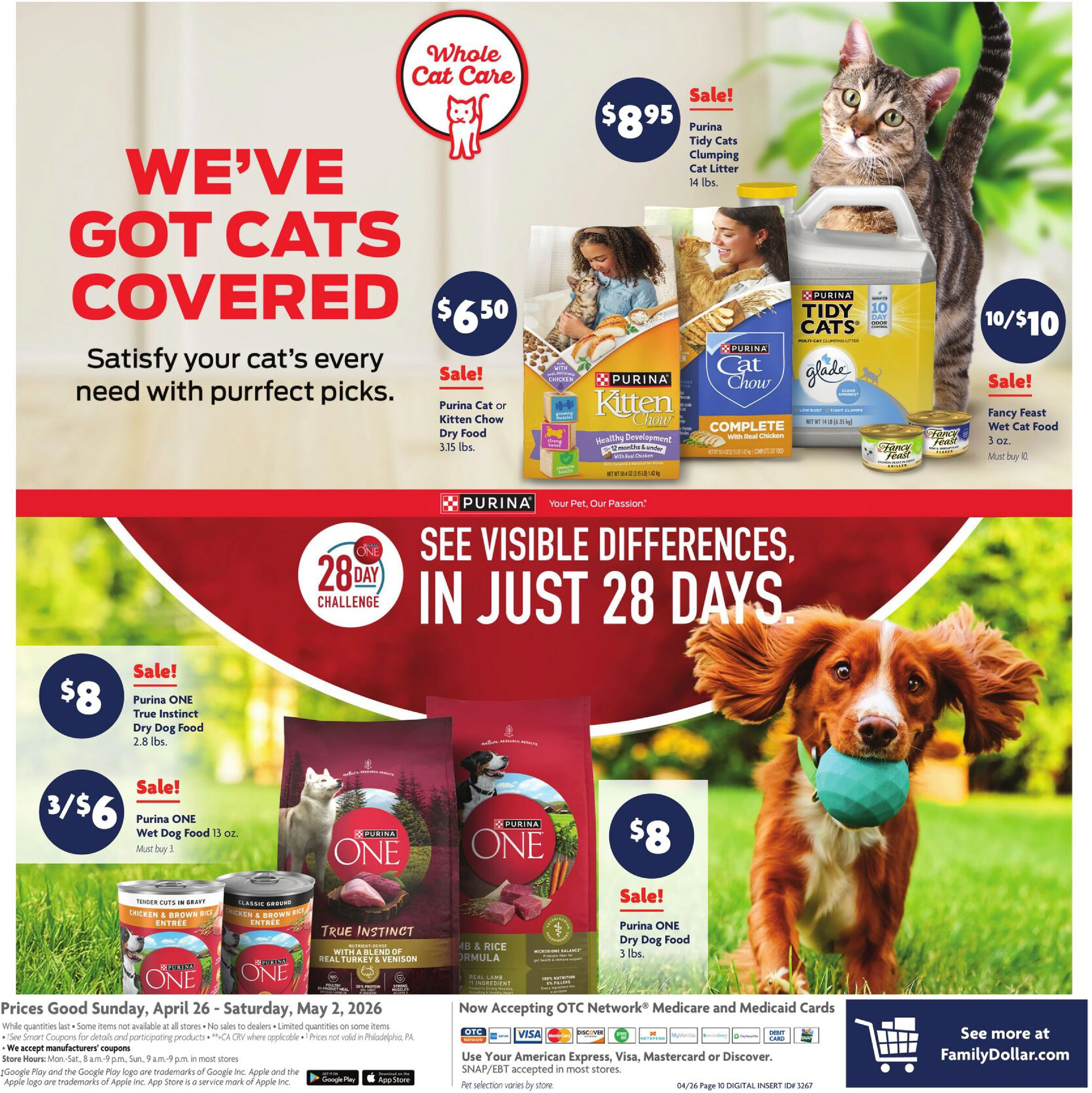 Flyer page 13