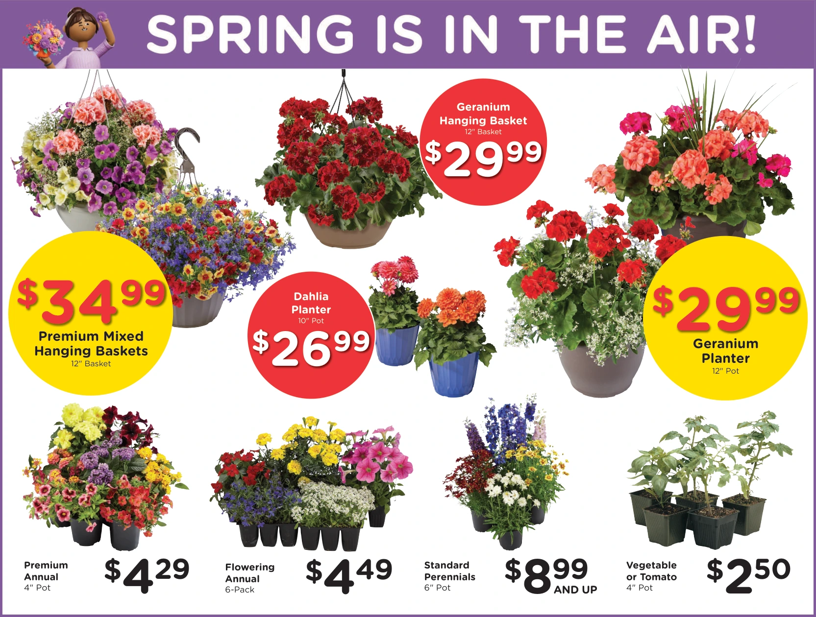 Flyer page 14