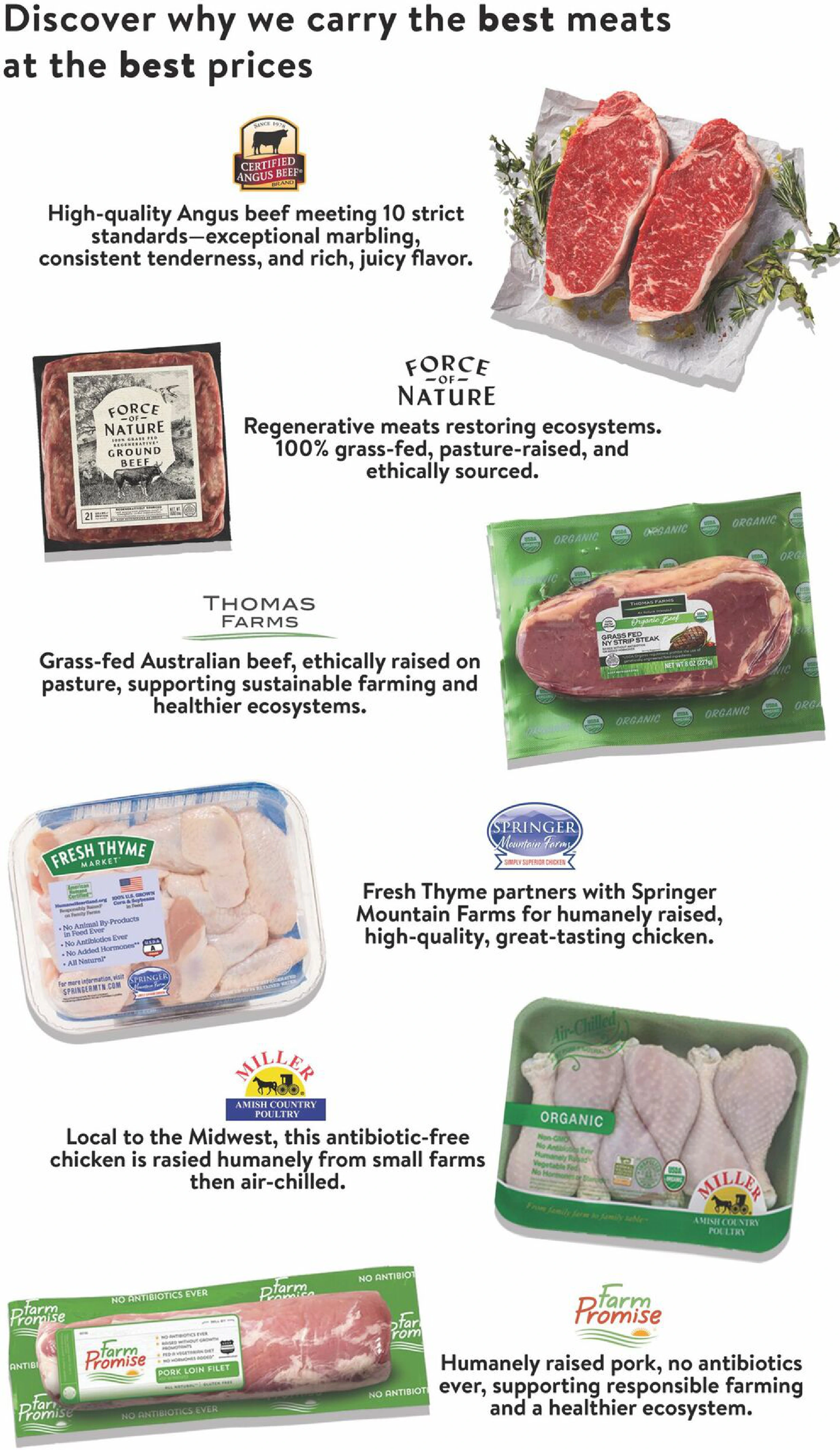 Flyer page 7