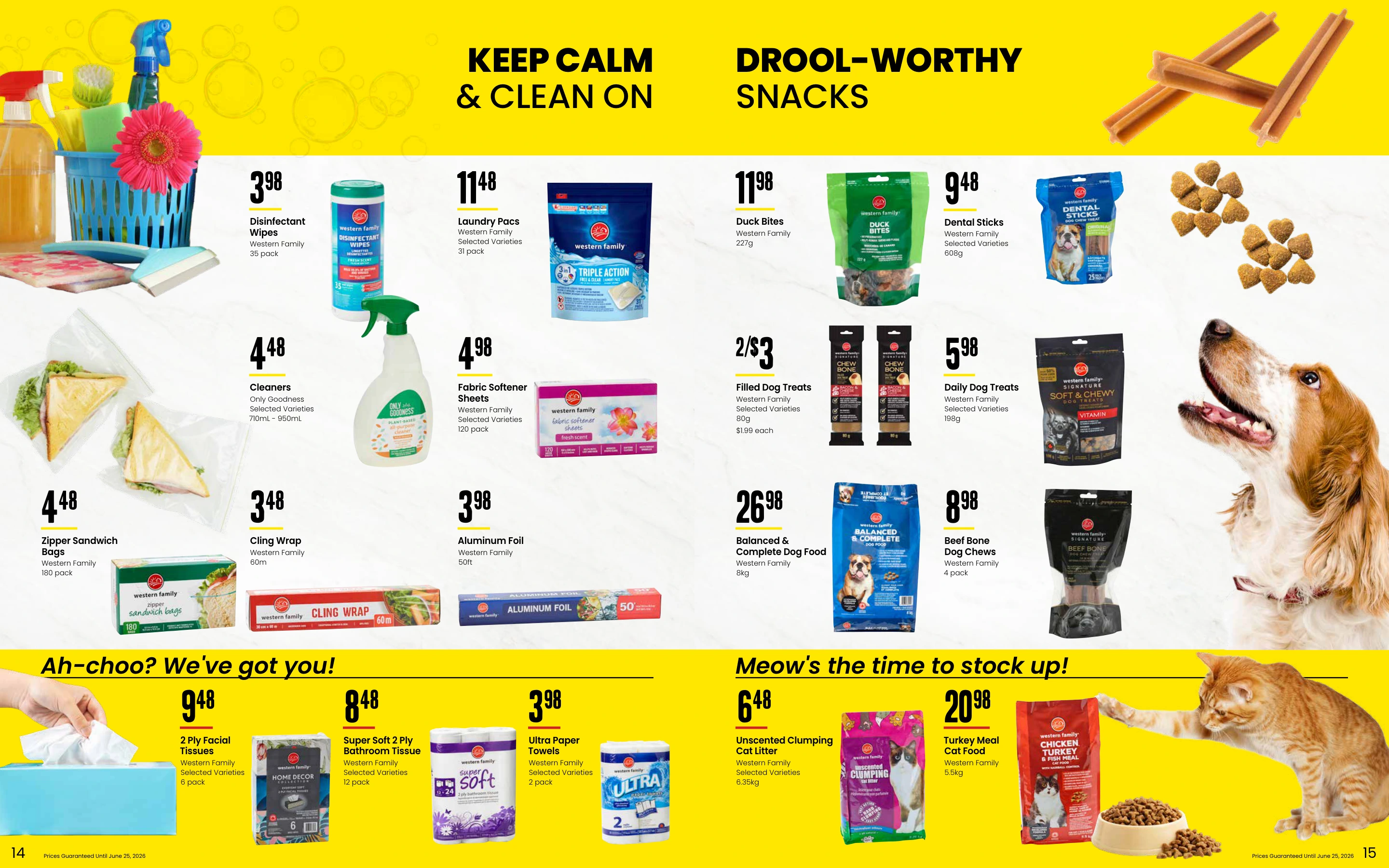 Flyer page 8