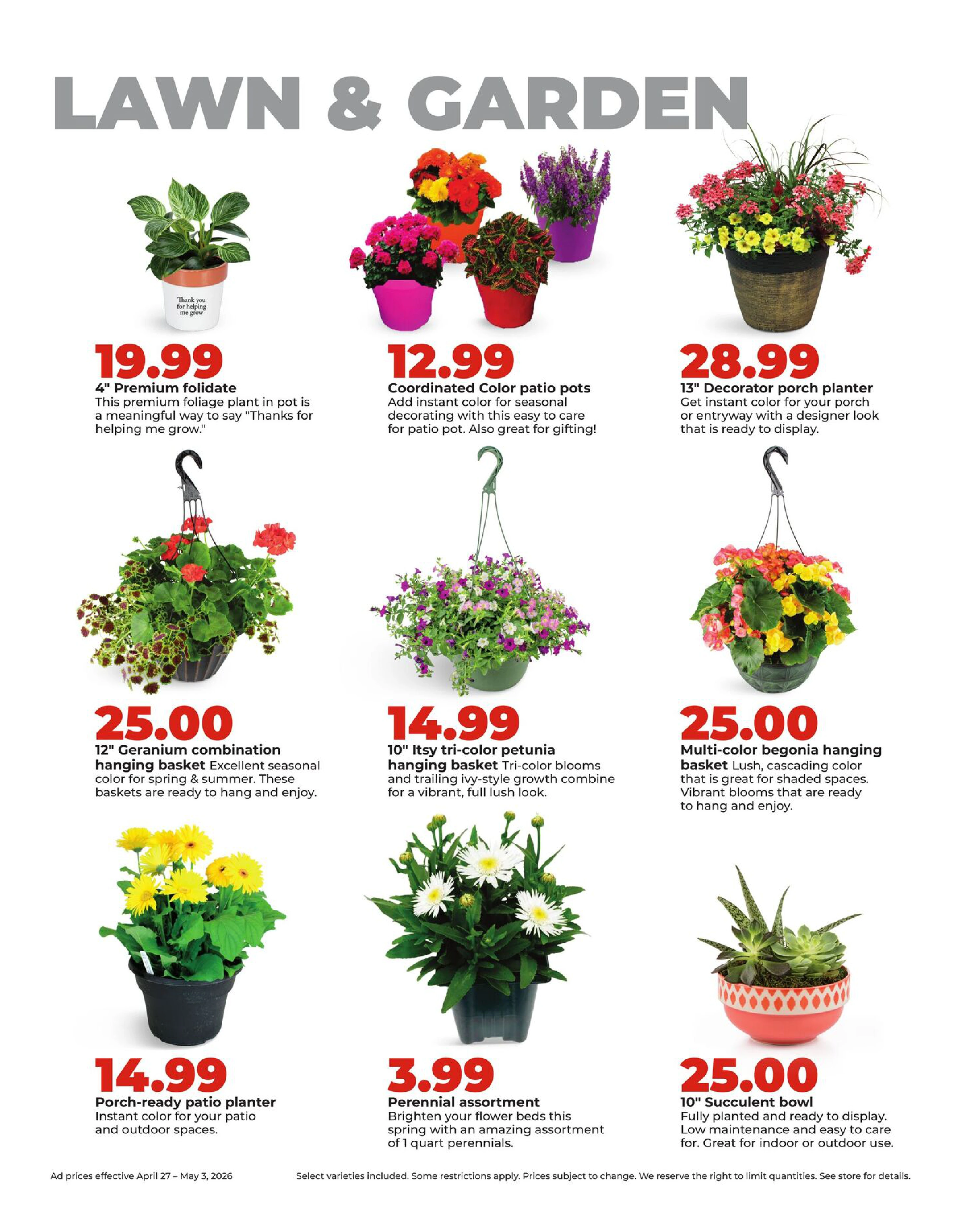 Flyer page 33