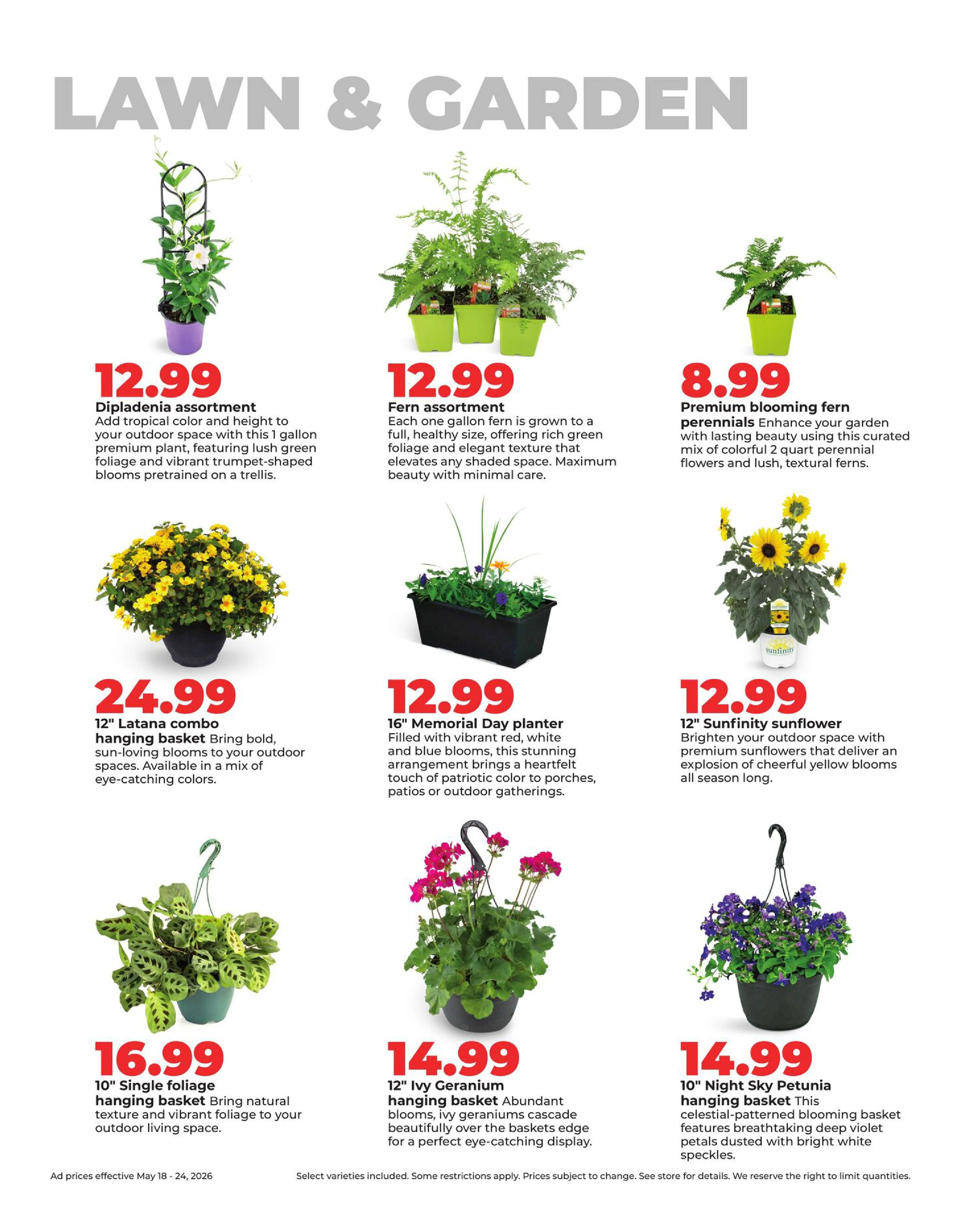 Flyer page 40