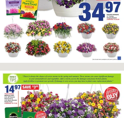 Flyer page 5