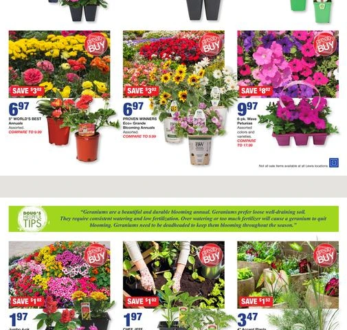 Flyer page 6