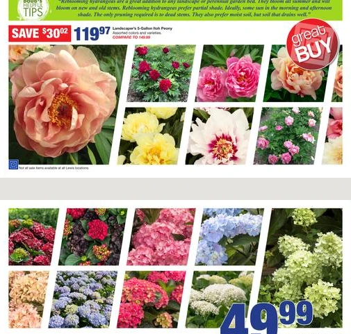 Flyer page 8