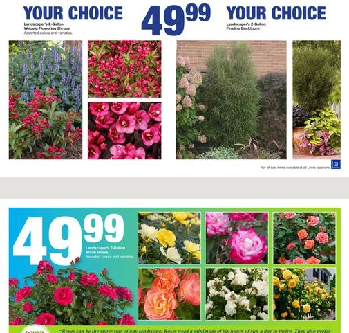 Flyer page 9