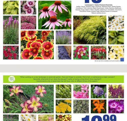 Flyer page 5