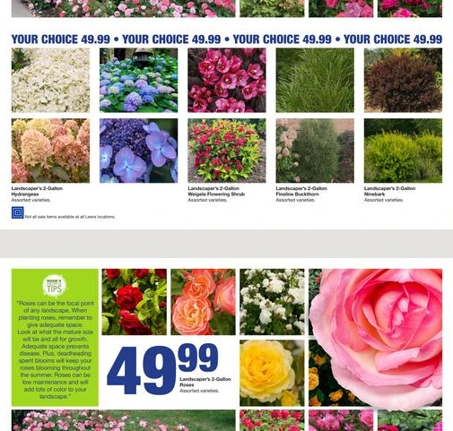 Flyer page 6