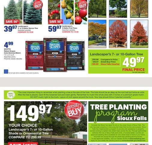 Flyer page 7