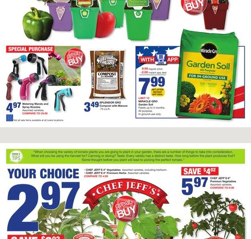 Flyer page 8