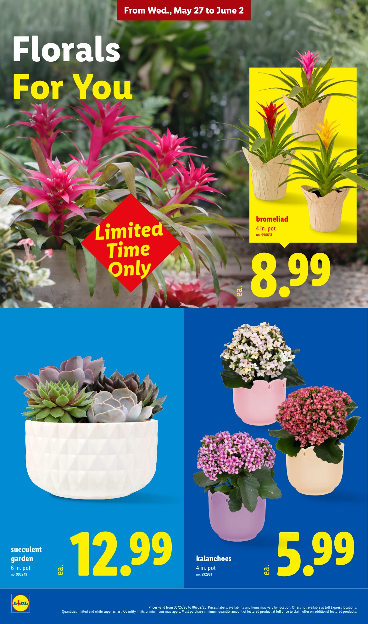 Flyer page 30