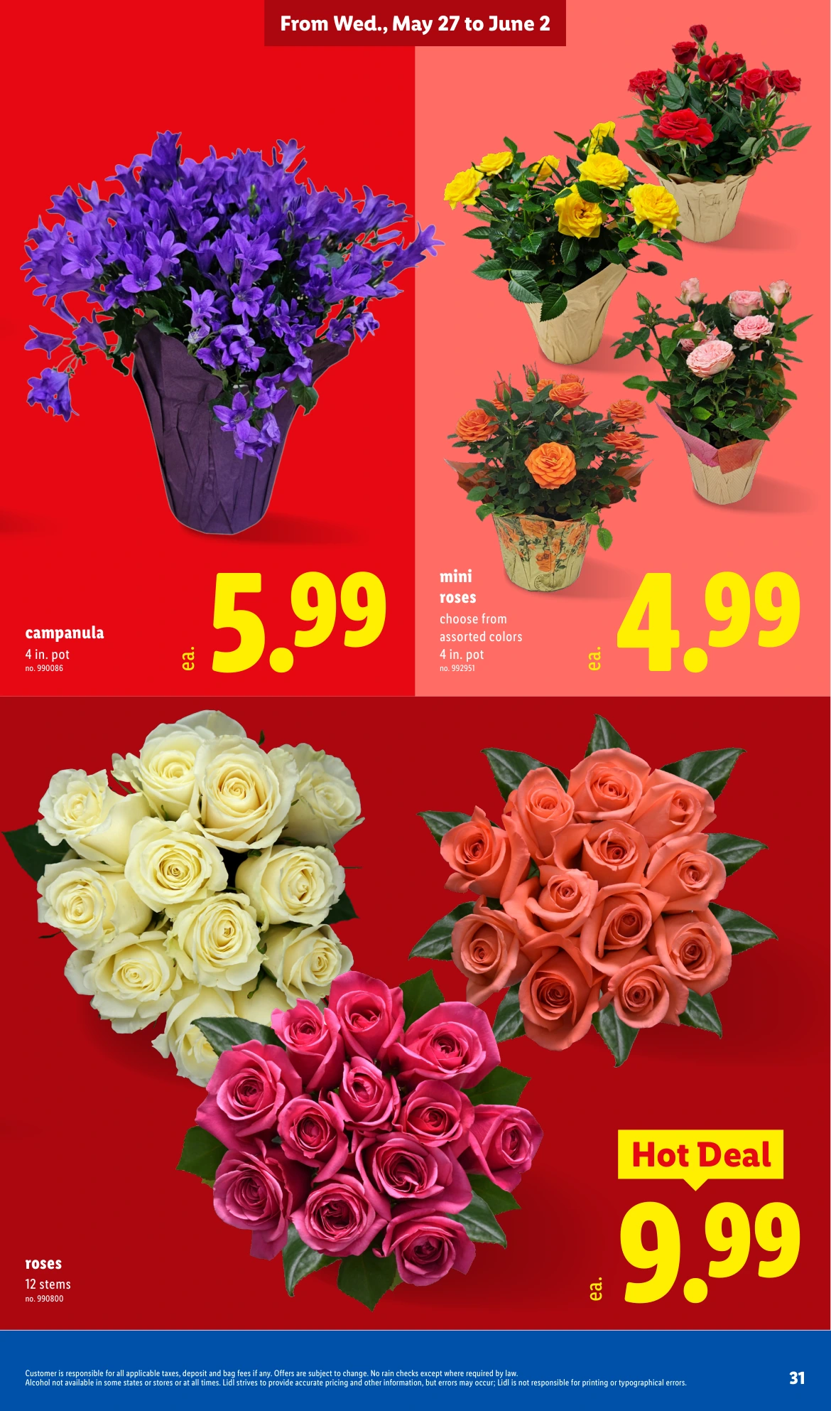 Flyer page 31