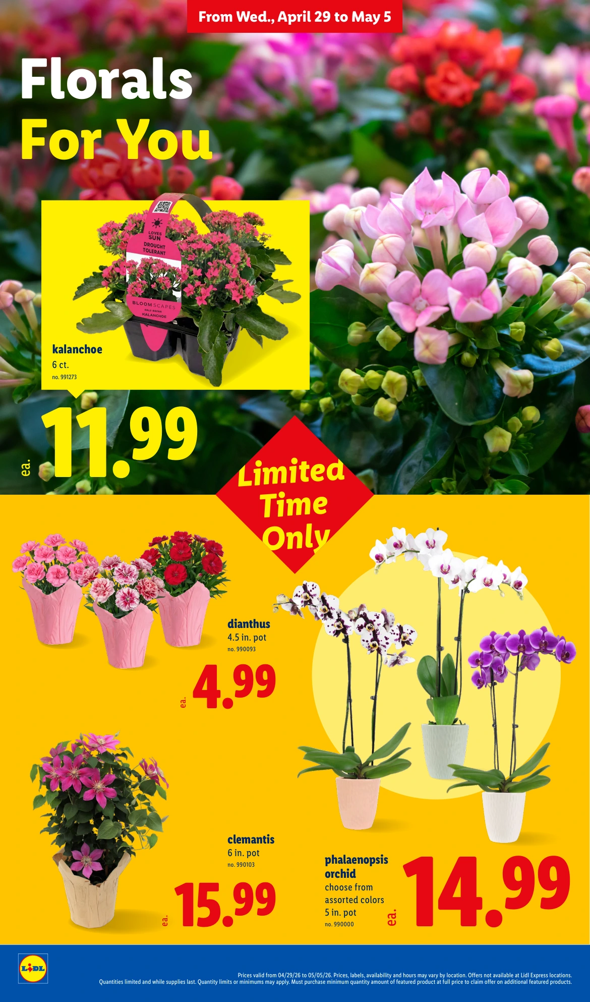 Flyer page 28