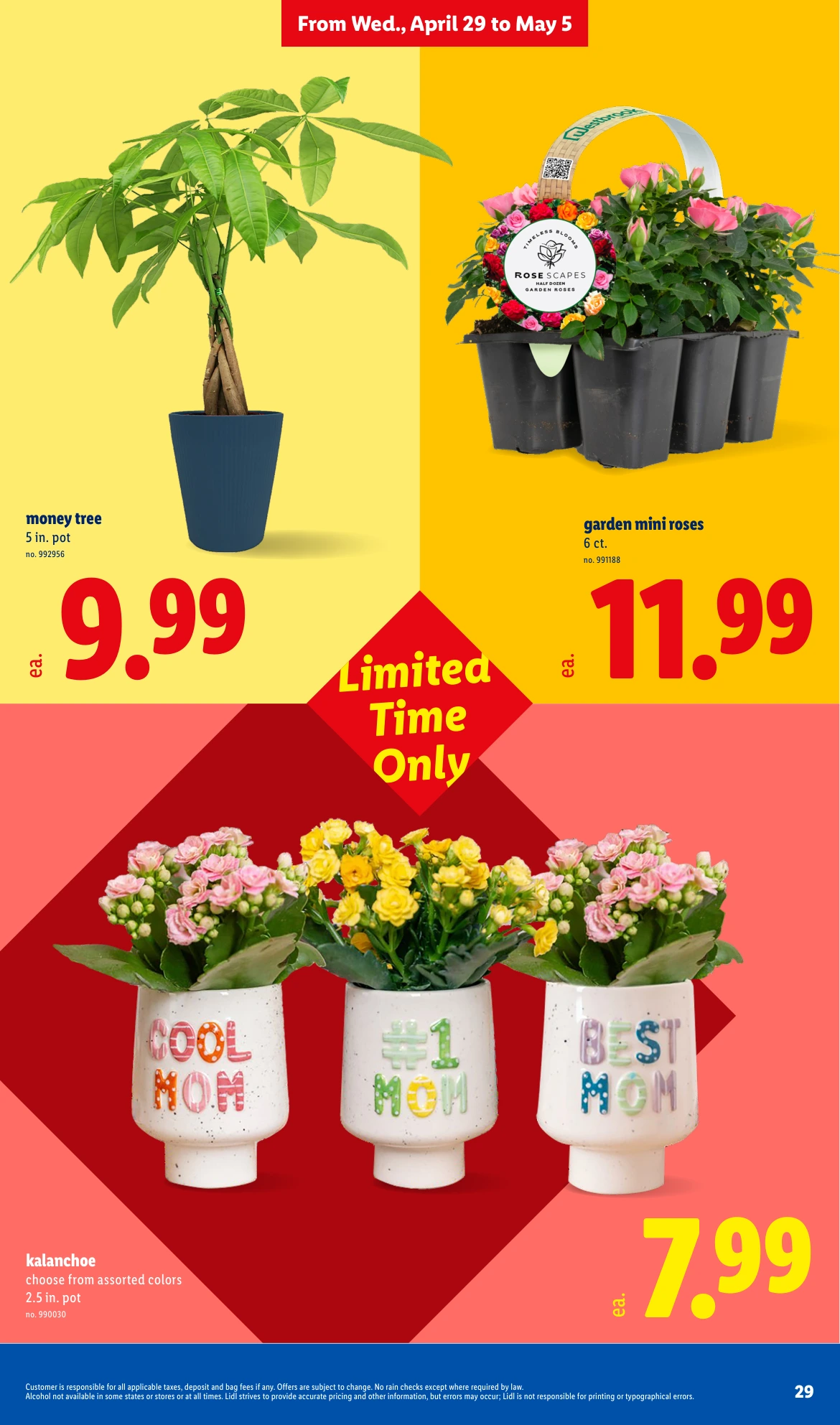 Flyer page 29