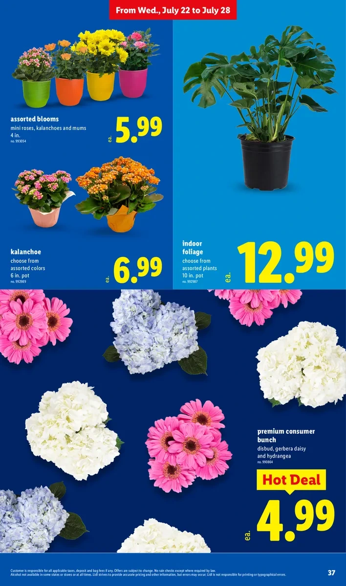 Flyer page 37