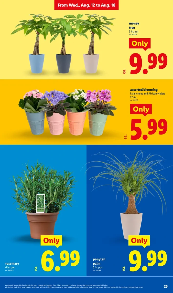 Flyer page 25